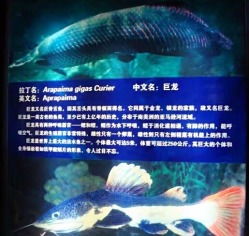 附加费用？那叫一个花样百出