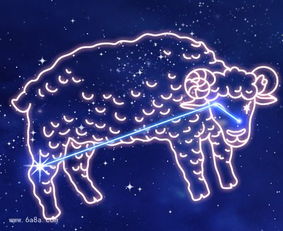 白羊座究竟偏爱哪些运动项目，他们平时都热衷于做什么活动？