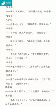 三、诗词典籍：文化底蕴气息满满