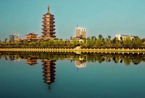 三、对比解析：谁更“胜出”？