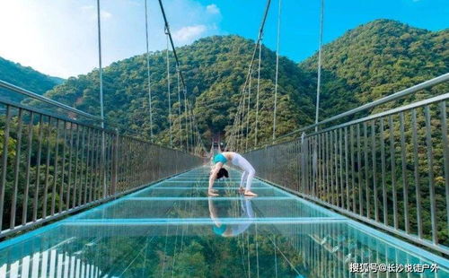 金子山：云雾里的智商检测仪