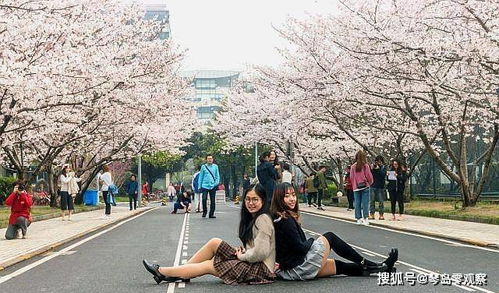 一、南岗公园：冰雪与樱花的浪漫邂逅