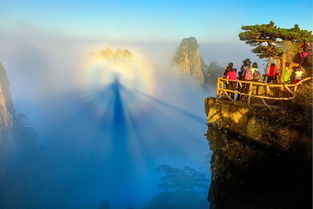 听不懂也要听的讲座