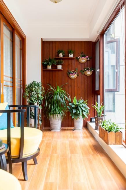 三、 生肖与星座配对指南（随意编造）