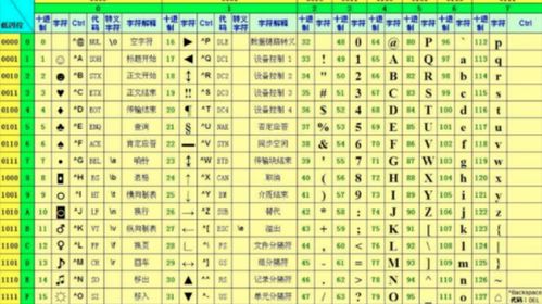如何准确查询数字31的命理吉凶，结果最可靠？