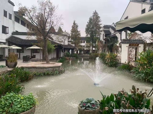 乍嘉苏较高速：一条连接梦想与现实的蜿蜒之路
