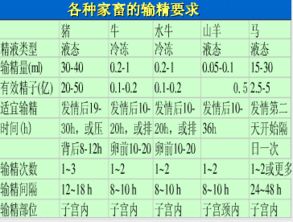 属相那些事儿
