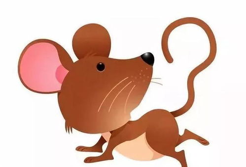 属鼠人今日运势如何，特别是与龙生肖的运势有何关联？