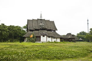 上海到淀山湖一日游：一场充满惊喜（惊吓）的奇幻漂流