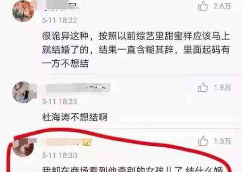 整改计划概览（表格）