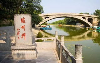 白洋淀：鸟语花香的大湿地