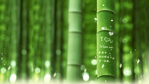 桌面壁纸风水好运,桌面壁纸风水好运