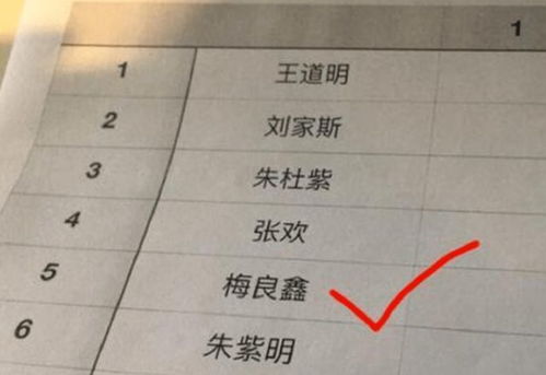 为哪些选择简洁简单记的名字？