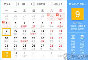 巴西土著人狂欢节