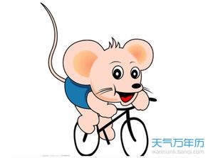 2026年属狗人运势如何？属鼠人全年运势和运程怎样？