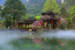 ⑤ 灵运仙境——温州版桃花源（全程坑爹）
