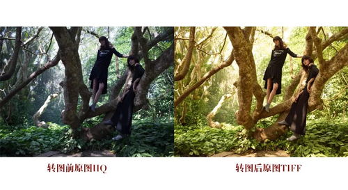 3.2 噪音也能够是一种美 —— 当名字成为生活中的背景音乐