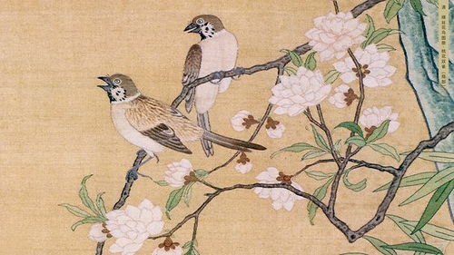 破茧之名：王依婷之外的起名灵感