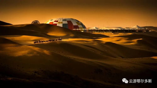 如果你不想开车， 那就去受罪吧：大巴与火车