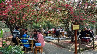 a) 老街漫步 - 大学路与云霄路