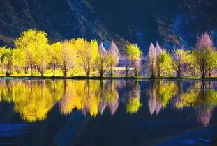 关于旅行中的风景这件事