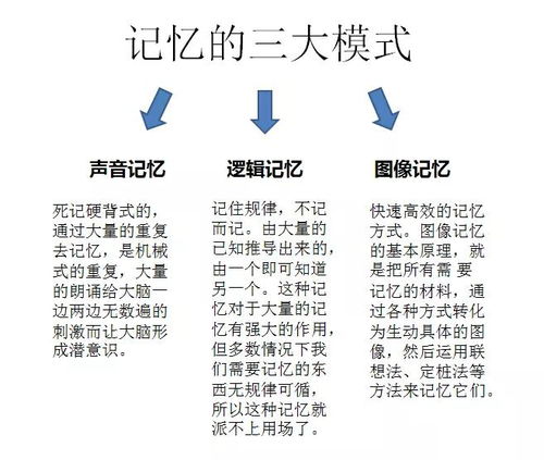 二、噪音插入区——别让文章太规整！🌪️🚀💥