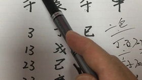 八字里有个虫代表什么，算命中的虫叫什么名字？