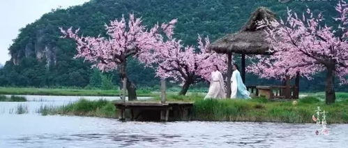 西安玩法：别去那些网红景点找死