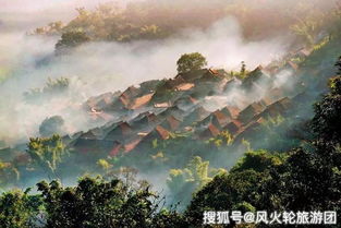 2.1 景迈山的云与茶
