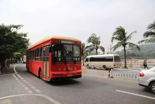 行前准备：带什么才能活下来