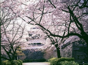 一、乱七八糟的路线推荐