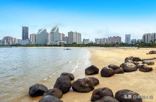 特呈岛：被海鸥包围的梦幻