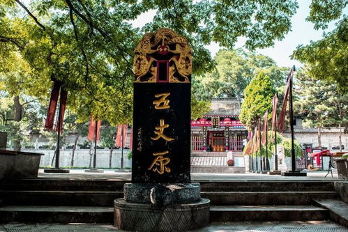 免费的真香警告