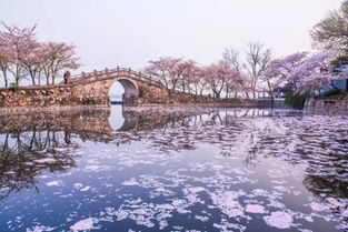 乌镇泛舟游湖，还是酱油酿？