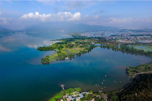 国家湿地公园：观鸟岛、 梦里水乡，春意盎然