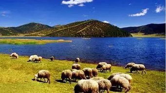 先泼盆凉水：春节的香格里拉，到底有许多“冻人”？