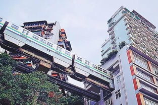 第七章：随机插曲（或许是噪音）