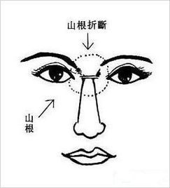 嵩山鼻：再次强调鼻子！