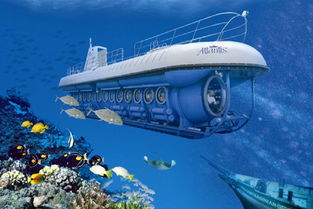 2. 交通：飞机、船、摩托车，能到就行