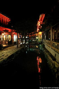 第三章：夜色中的音乐会