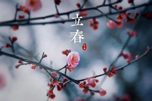 “打春”的传说：五九尾、 六九头