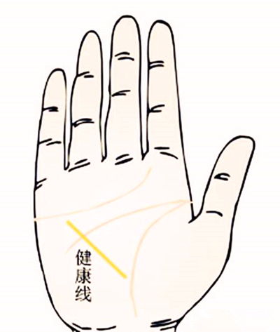第一章：生命线——命力的基石