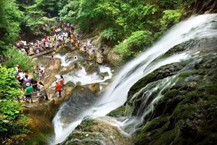 门票市场价格：实话实说