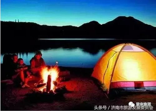 露营？烧烤？还是去森林公园吸氧？