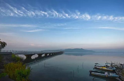 东山国家地区森林公园：呼吸崭新鲜空气， 感受较大天然的拥抱