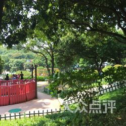 历史持续发展与文化底蕴：不仅仅是游乐