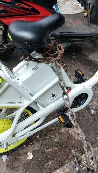 三、生肖风水大杂烩