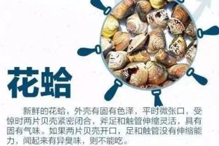 啊！那些让人又爱又恨的旅行调料大杂烩