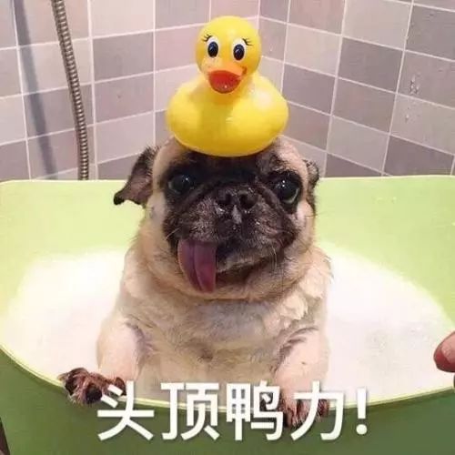2.2 按外貌起名