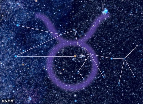 配对指数大揭秘